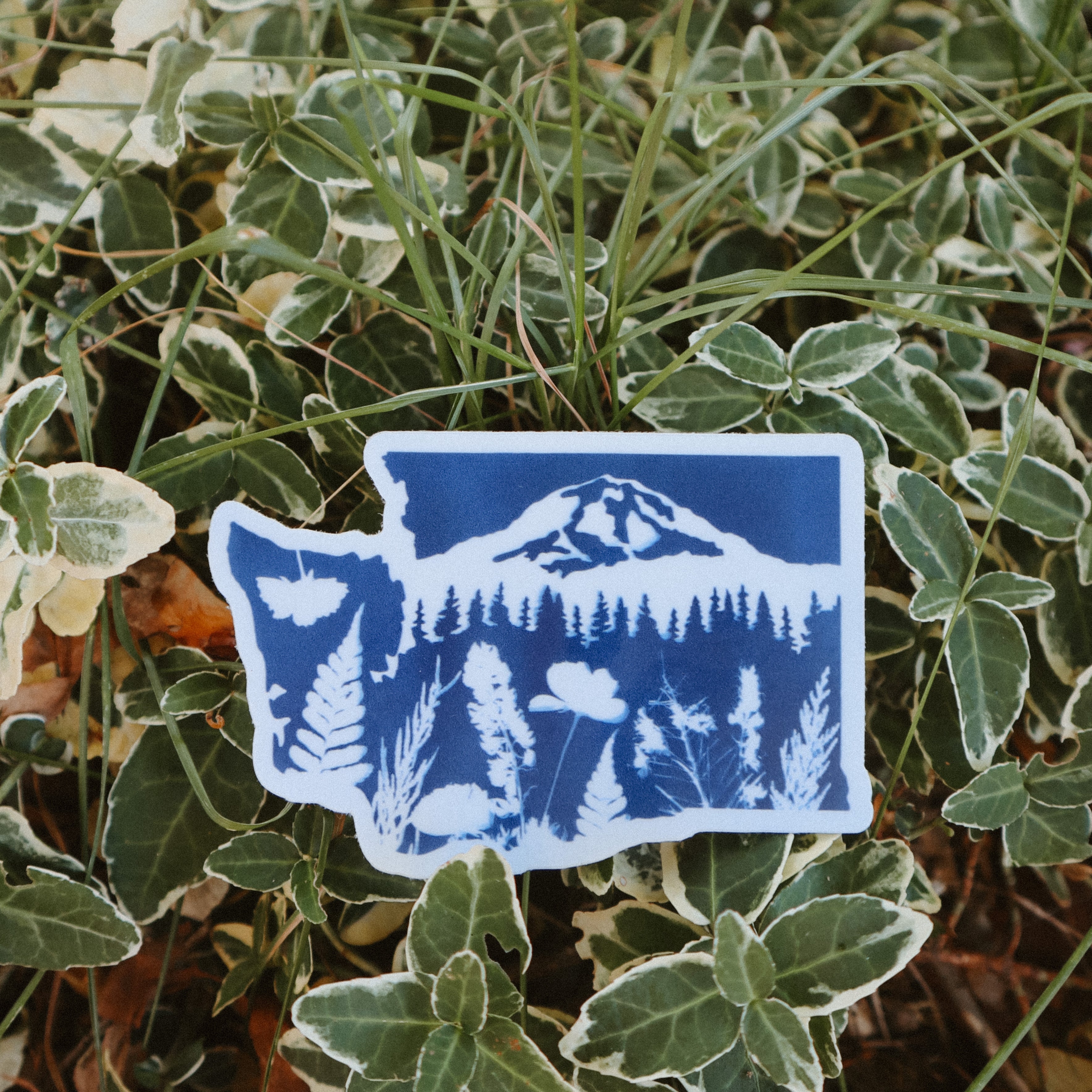 Washington/Tahoma Cyanotype Sticker