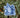 Flower Medley Cyanotype Sticker