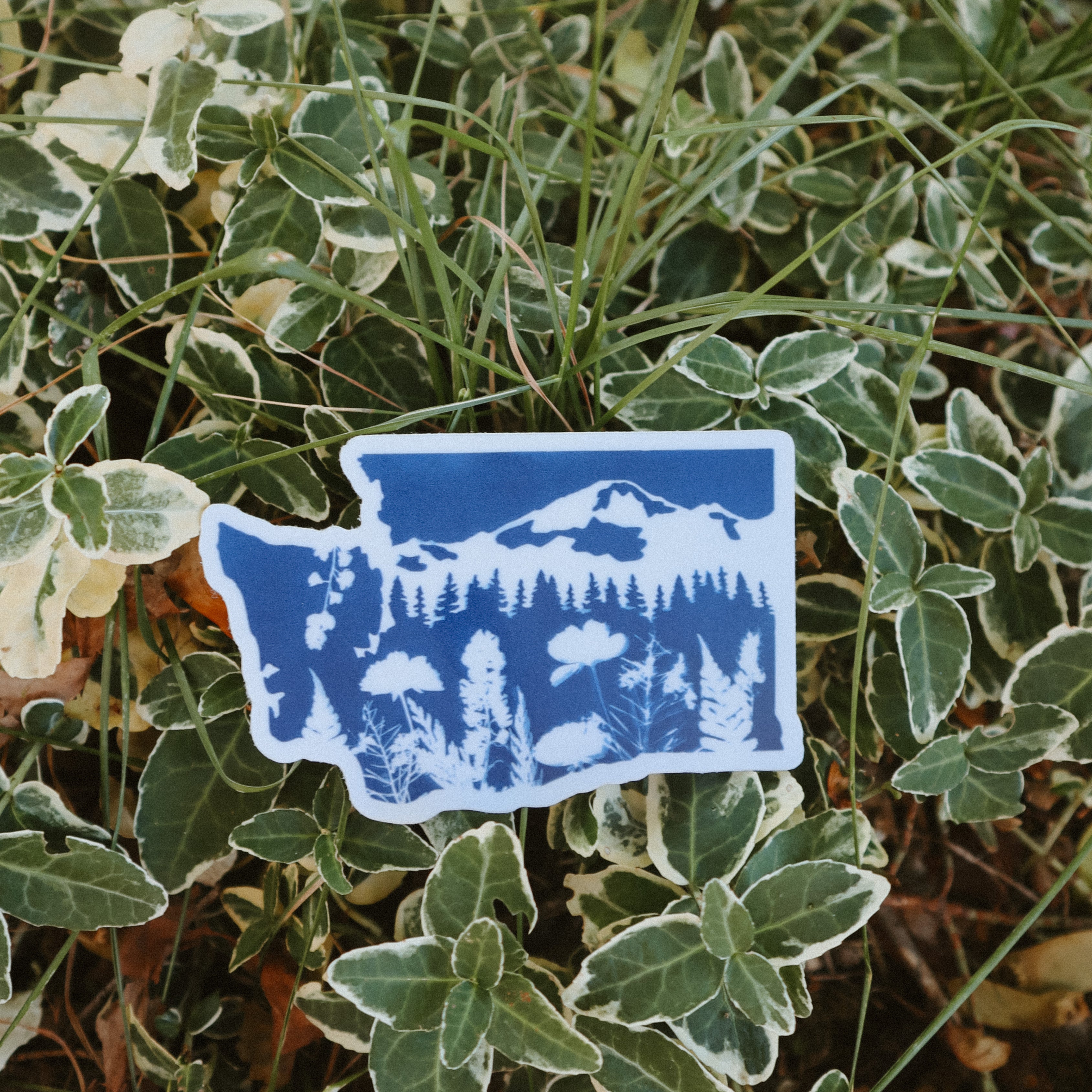 Washington/Kulshan Cyanotype Sticker