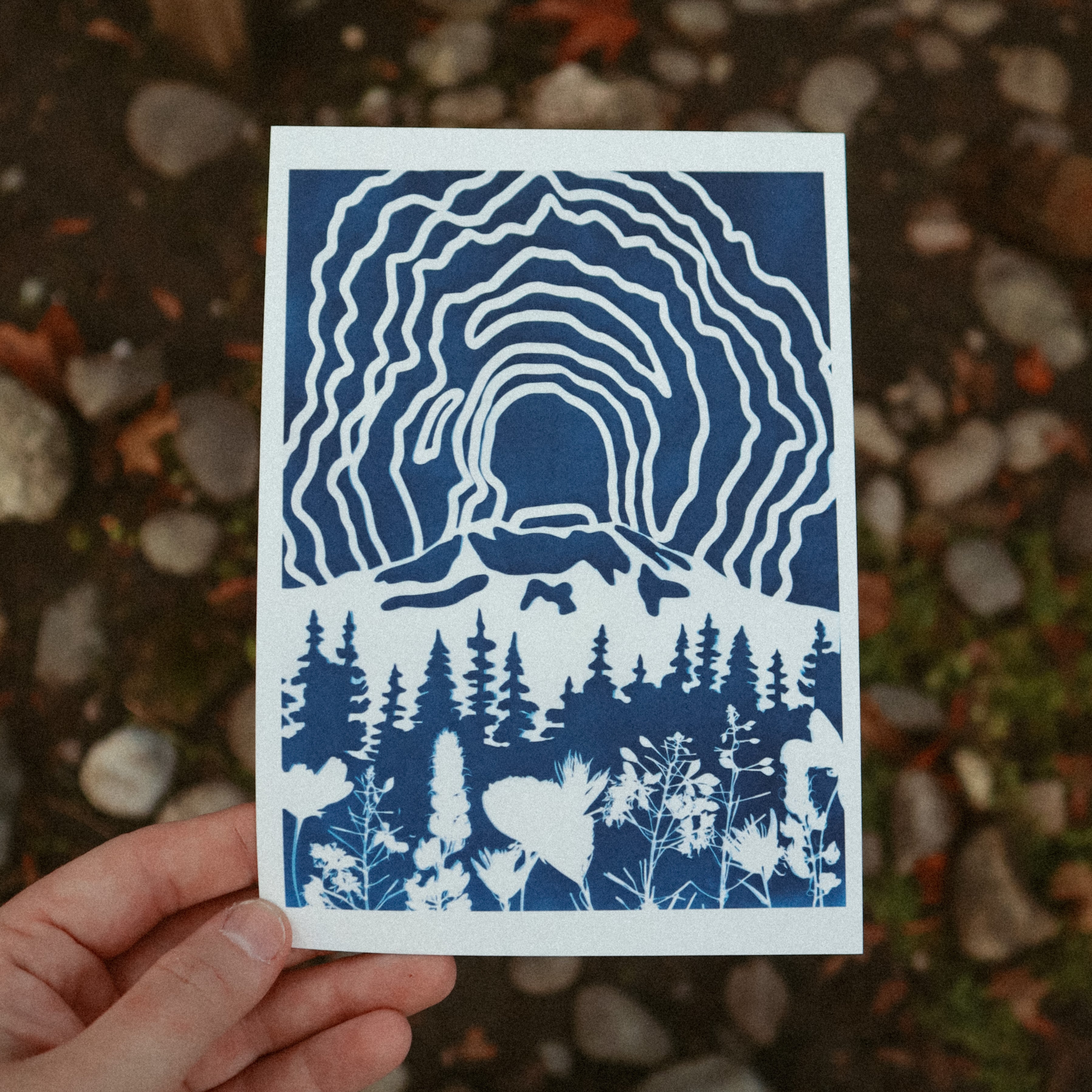 5x7 Mount St Helens Print