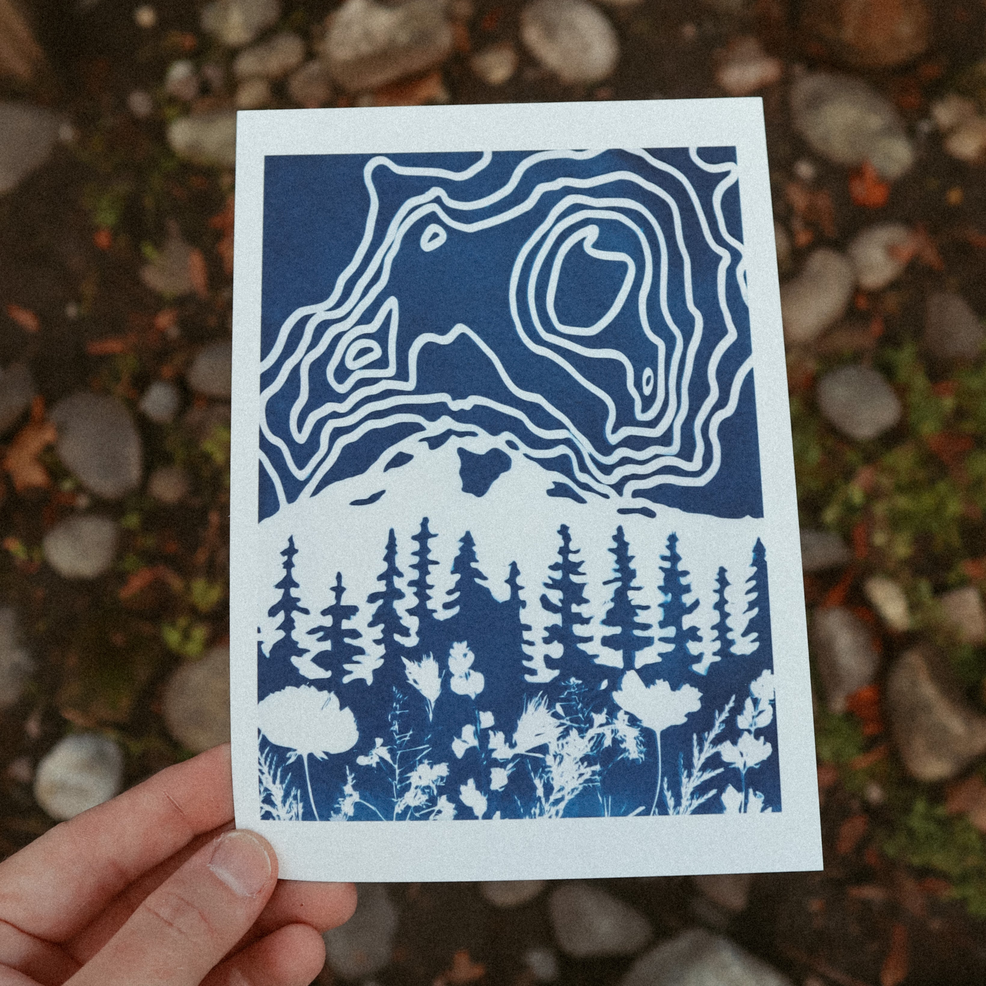 5x7 Mt. Rainier Print