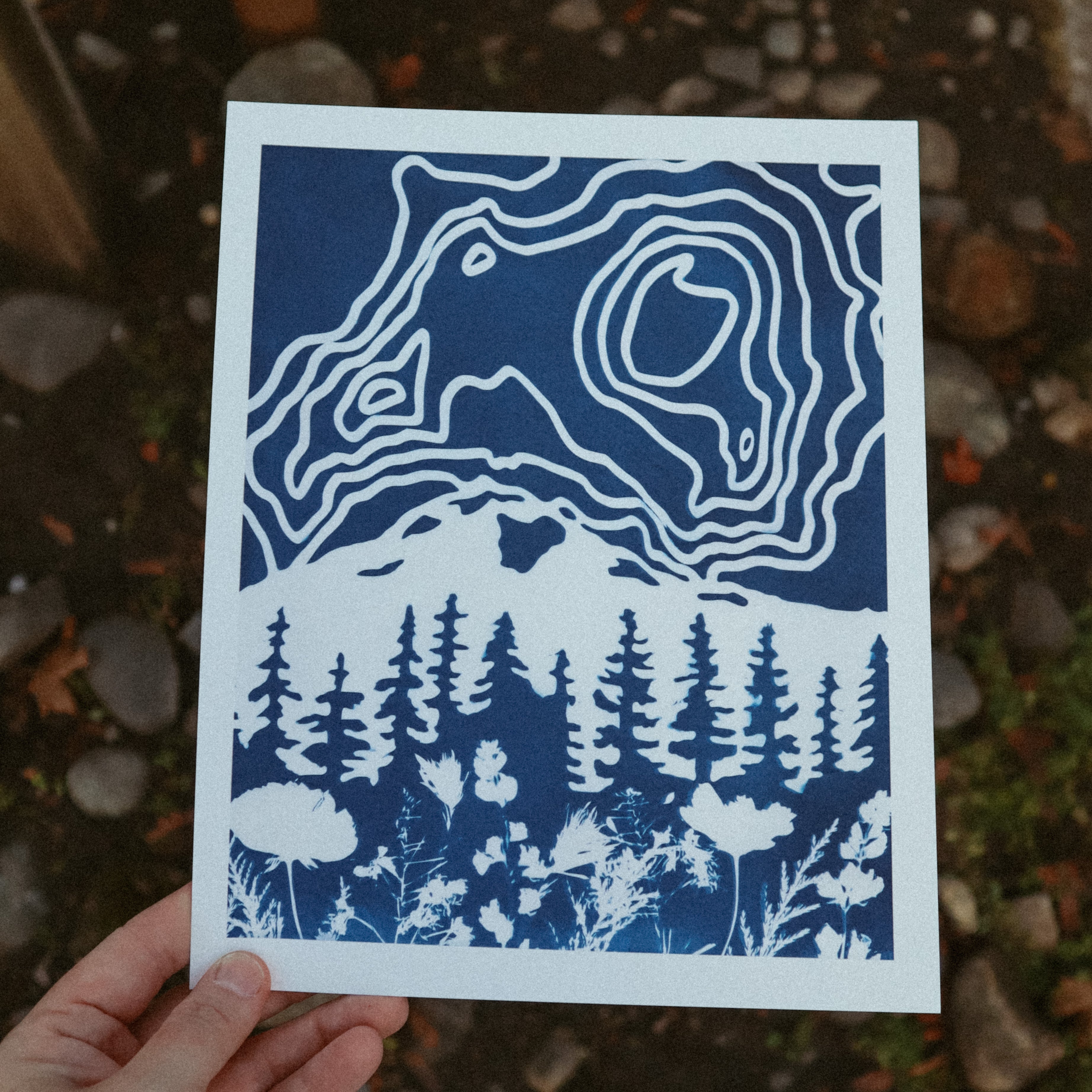 8x10 Mt. Rainier Print