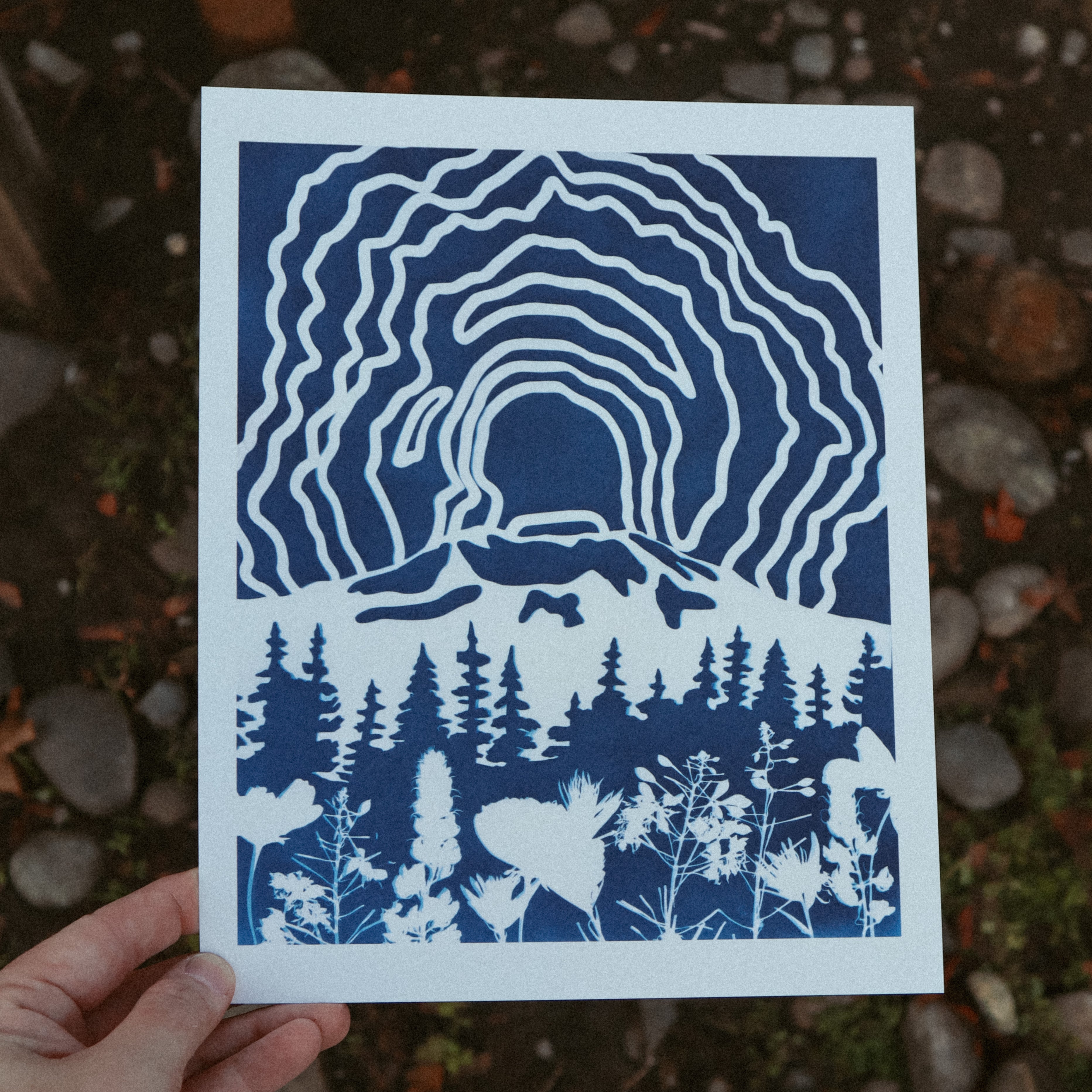 CYANOTYPE PRINTS