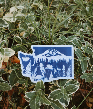 Washington/Tahoma Cyanotype Sticker