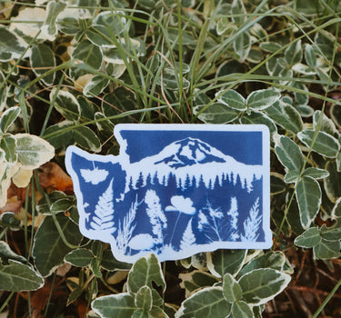 Washington/Tahoma Cyanotype Sticker