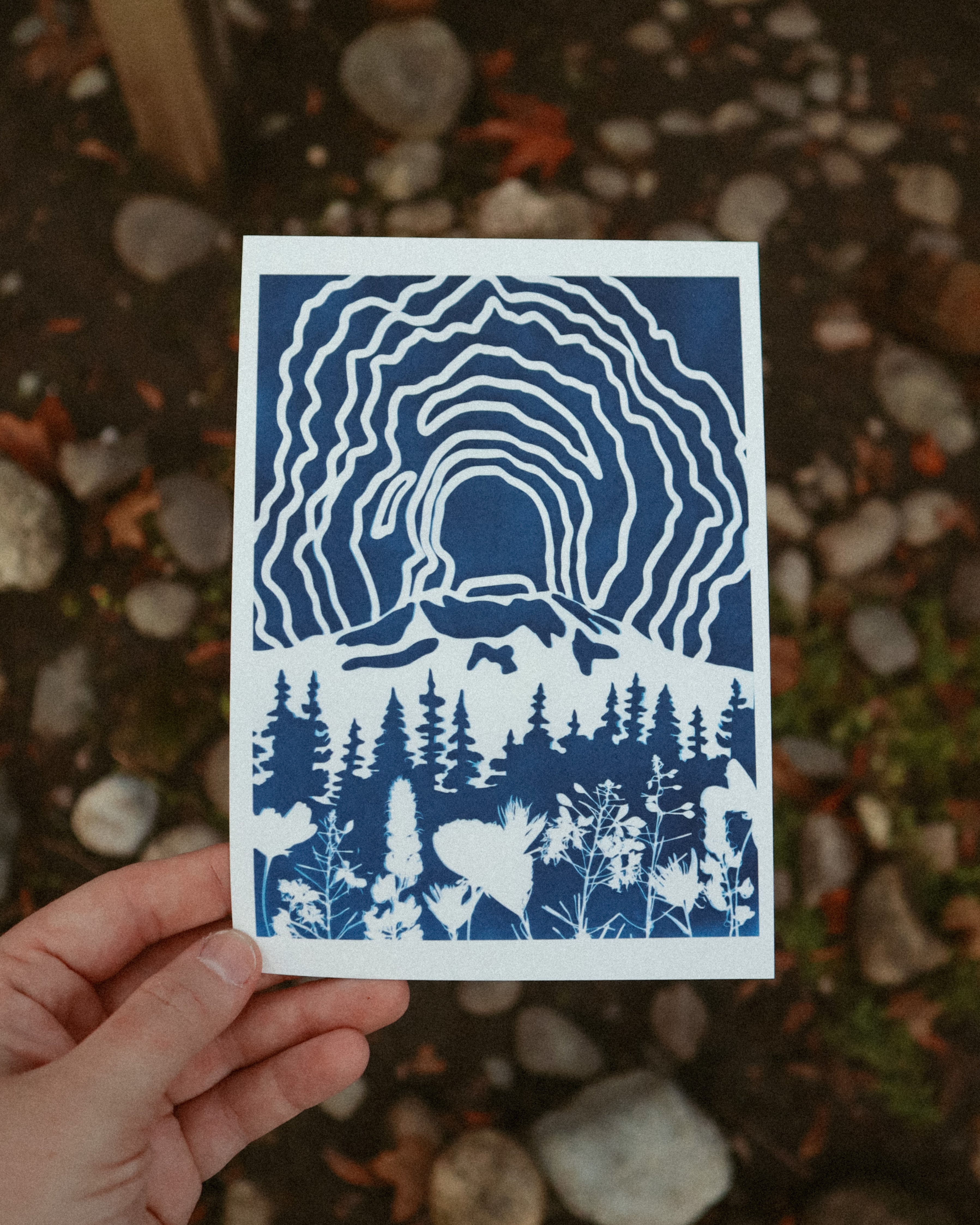 5x7 Mount St Helens Print