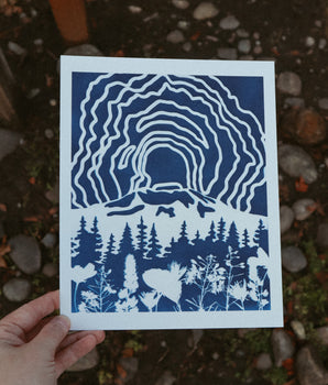 8x10 Mount St Helens Print