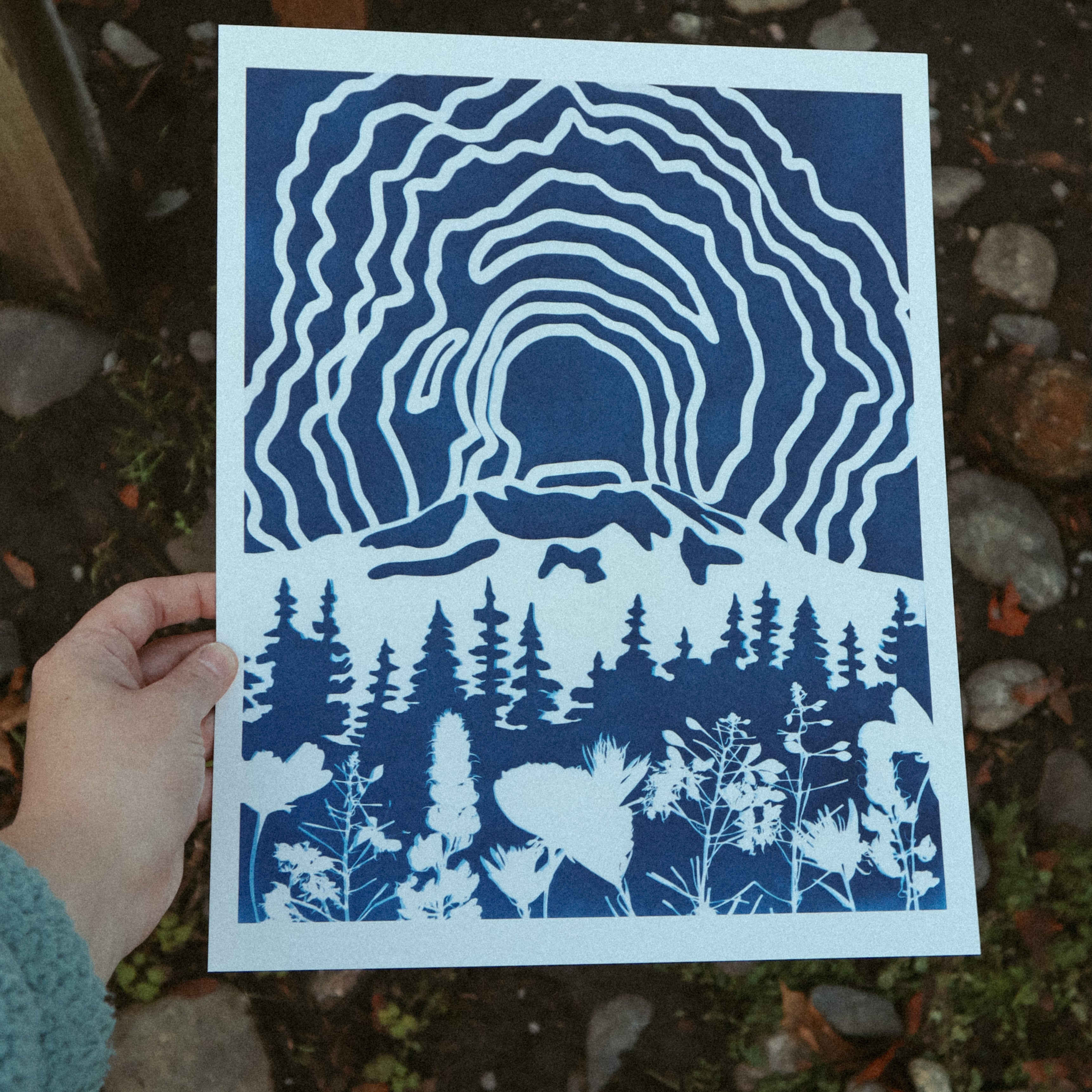 11x14 Mount St Helens Print