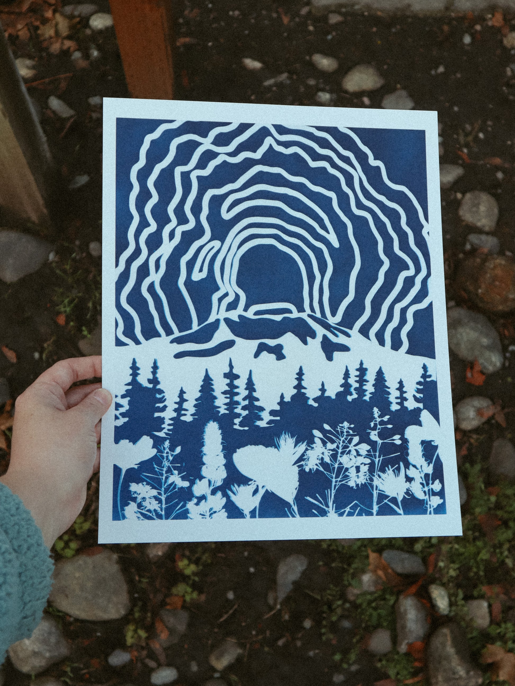 11x14 Mount St Helens Print
