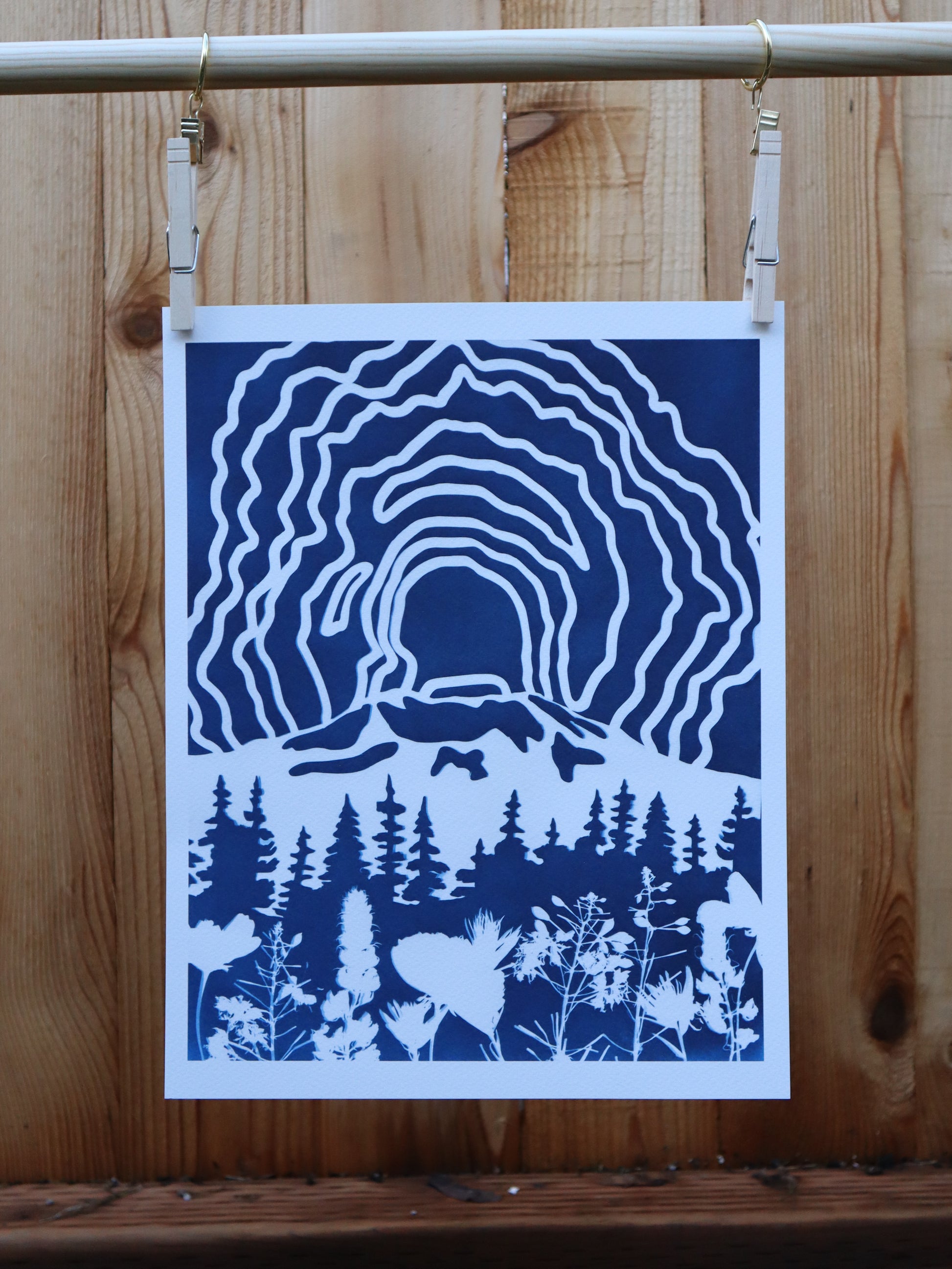 11x14 Mount St Helens Print