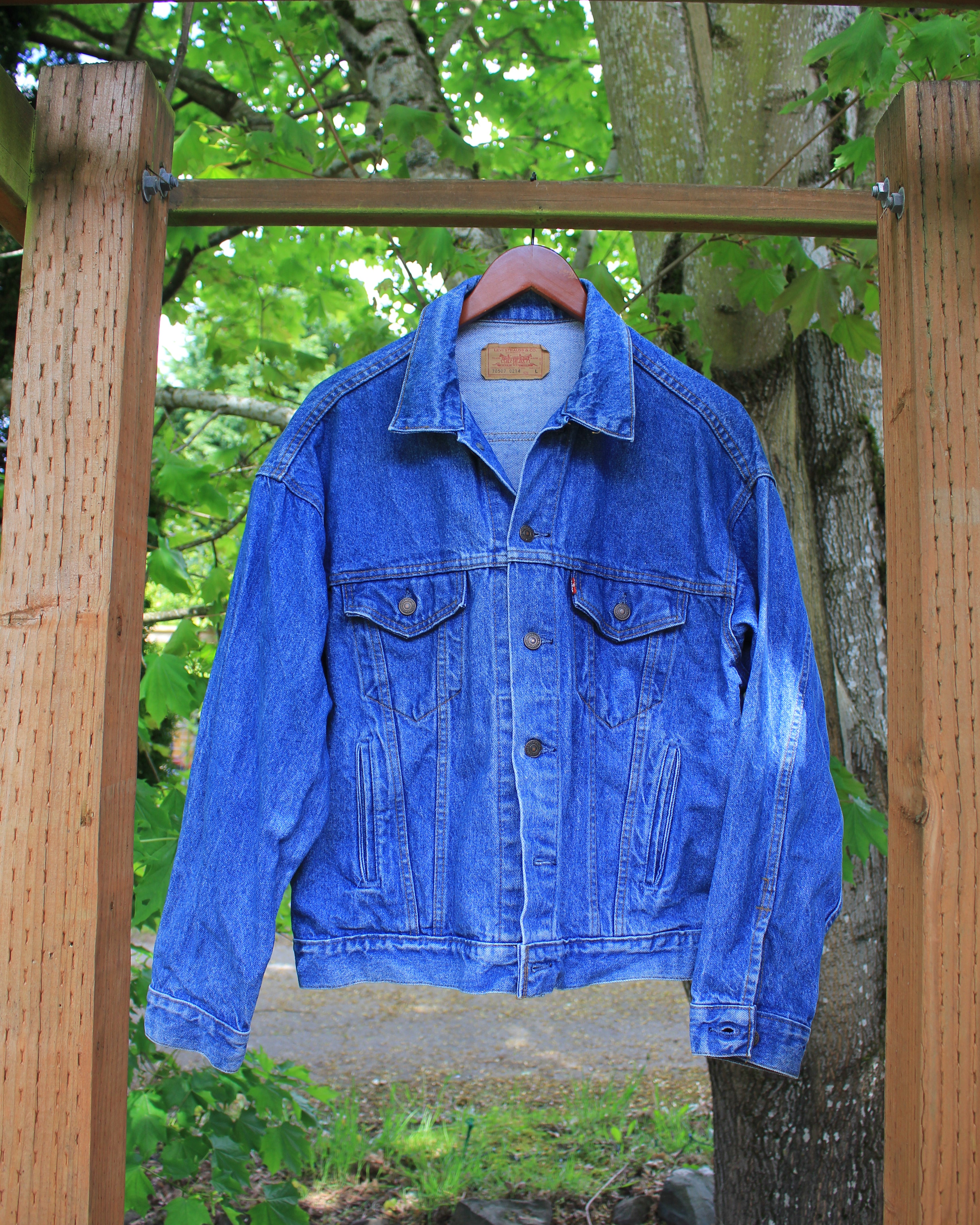 Grand Teton Topo | Vintage Levi Jacket | Size L