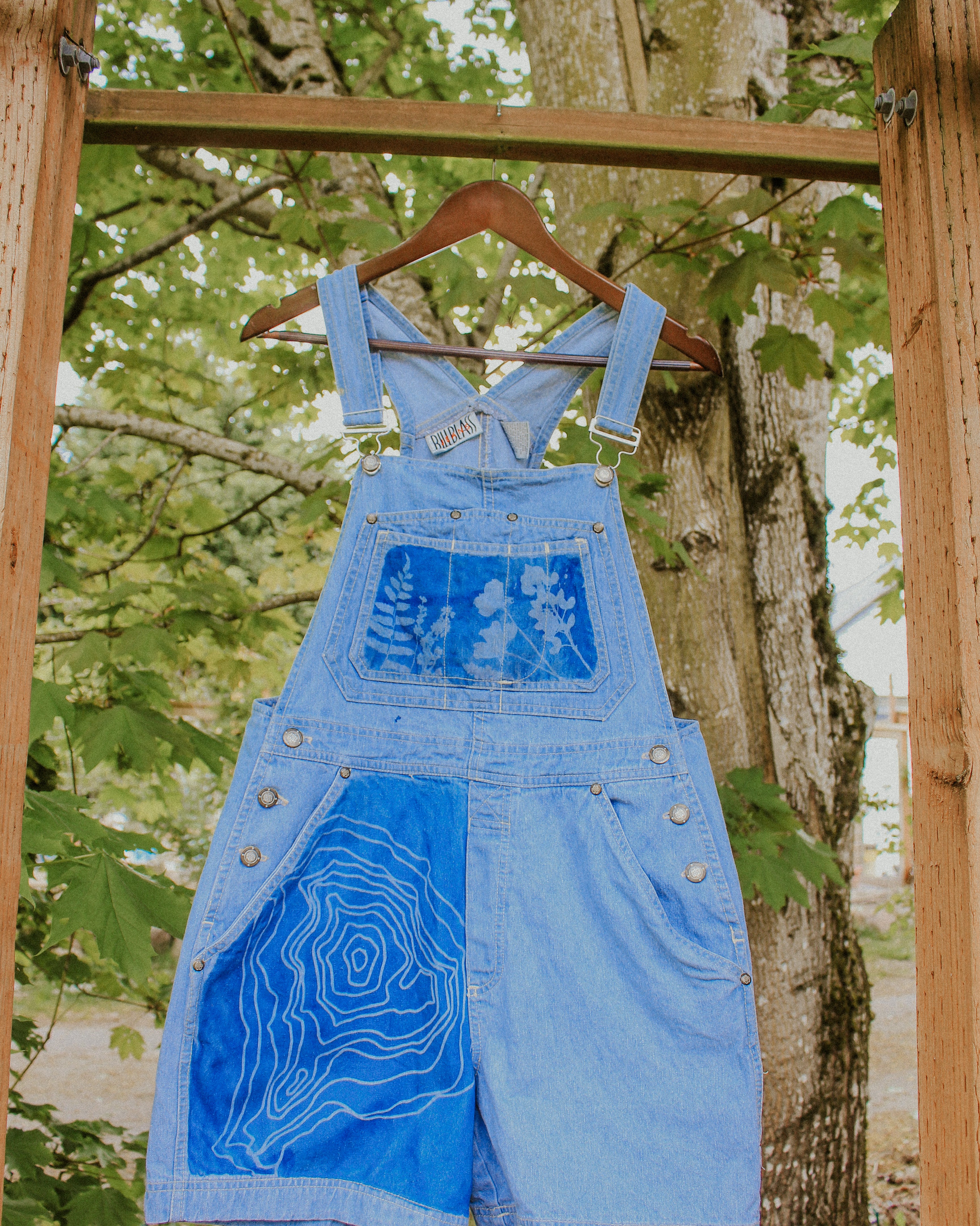 Kulshan/Mt Baker Topo | Vintage Bill Blass Overall Shorts | Size L
